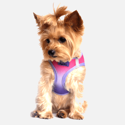 Blueberry Pink Sport Dog Harness | Milan Pets Dog Walking Supplies Harness