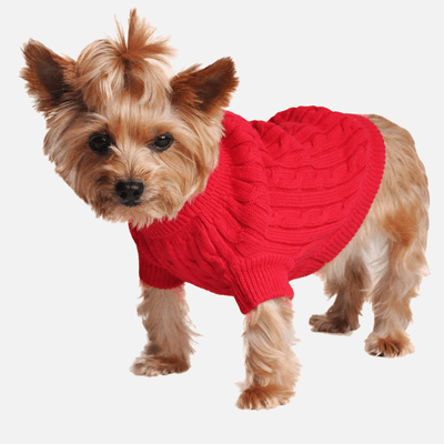 Passion Knitted Sweater for Dogs | Milan Pets Fall & Winter Clothes Sweater