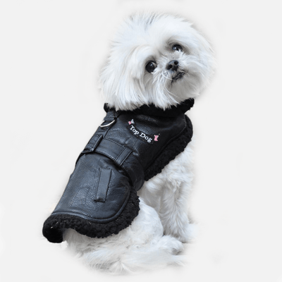 Top Dog Leather Coat for Dogs | Milan Pets Winter Clothing & Apparel Coat